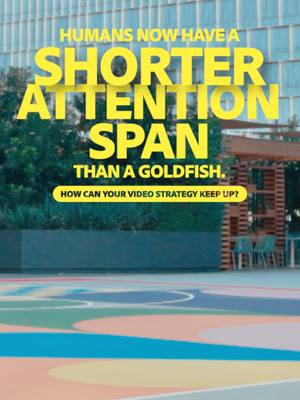 Win over short attention spans with Video Ads. GenStudio for Performance Marketing helps you build high-impact video ads fast. https://adobe.ly/3Lcorum