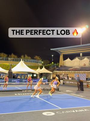 When the lob lands right in the back corner of the court 😮‍💨 #pickleball #pickleballpoints #propickleball #pickleballasmr #ppatour @Carvana PPA Tour 