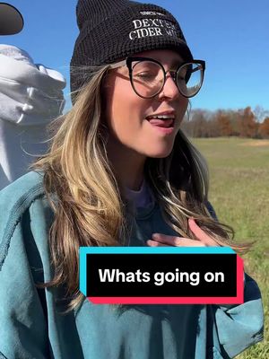 Ope probably my favorite video to date. I love a Michigan Fall 🍃🍁🍂 #whatsgoingon #beesinthetrap #trending #fyp #wlw 