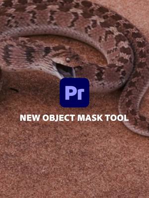 Object Mask has officially landed in #Premiere (beta). 🛬 Mask snakes, vultures, and other less threatening subjects with this precise and intuitive new tool. Try it today by downloading Premiere (beta)!