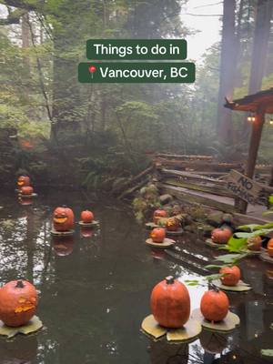 3 days left! Skeletons, witches and ghouls, oh my. Experience @Capilano Suspension Bridge's spook-tacular Canyon Frights Credit: @fiona and @Jenn Chan 👻  Open October 13th-31st, 10am - 8pm #exploreBC #britishcolumbia #vancouver #halloween #halloweenadventures @Destination Vancouver 