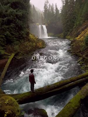 ✨ Share this with someone who needs an Oregon getaway! From the coast to the mountains, Oregon has something amazing to explore every season. Whether it’s chasing spring blooms, summer sunsets, fall colors, or winter snow, there’s no wrong time to visit. ⬇️ Best spots by season Spring • Columbia River Gorge • Willamette Valley • Silver Falls State Park • Hood River • Central Oregon Summer • Oregon Coast • Crater Lake • Bend • Mount Hood • Smith Rock Fall • Willamette Valley wine country • McKenzie River area • Southern Oregon • Painted Hills • Wallowa Mountains Winter • Mount Bachelor • Sunriver • Ashland • Oregon Coast • Mount Jefferson Wilderness ✈️ Follow along for all your travel tips & itineraries  #TravelOregon #OregonExplored #PNW #OregonAdventure #OregonLife