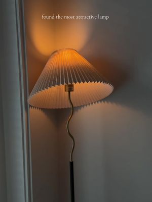 Found the perfect floor lamp for my living room 🤌🏽