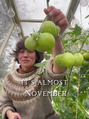 Julie’s Green Chutney #greenchutney #greentomatoes #tomato #greenhouse #floatinggarden #garden #autumngarden #narrowboatlife #boatlife #riverlife #narrowboat #lifeontheriver #cat #blackcat #nature #food #kitchen #life #offgrid #madefromscratch #homemade