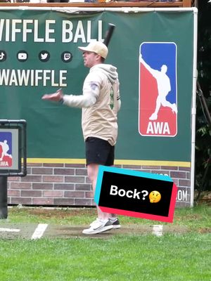 Do You Agree With The Batter?😤 #dingersornothing #wiffleball #baseball #foryou 