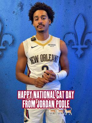 a word from the President of the Secret Society of NBA Cat Dads, Jordan Poole 😸 #jordanpoole #nationalcatday #catsoftiktok #cattok #NBA 