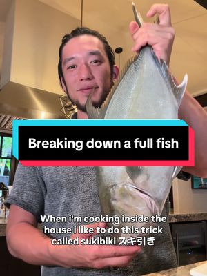 Sukibiki is a Japanese fish preparation technique where you remove the scales by slicing them off instead of scraping. It’s cleaner, gentler on the fish, and keeps the texture perfect for sashimi or crispy-skin dishes. This beautiful Kanpachi from blue ocean is one of my favorite fish to work with. I broke it down in Hawaii and cooked for my parents, simple sashimi and a crispy-skin Kanpachi dish that shows how quality fish and careful technique make all the difference. #cooking #fyp