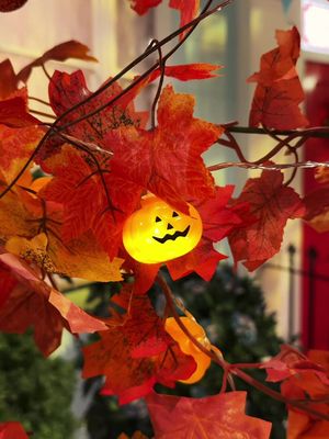 Windsor Gardens is looking so spooky! 🕸️  Starting from 1:30pm, who is joining us for trick or treating this week? 🎃✨ #ThePaddingtonBearExperience