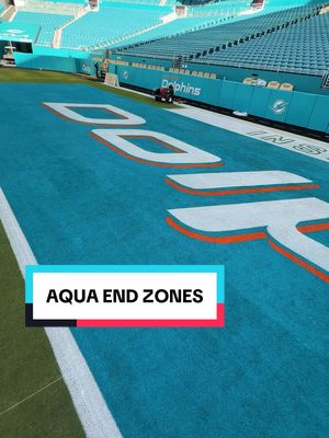 Aqua in the end zones 🎨 #fieldpainting #asmr #nfl #satisfying 