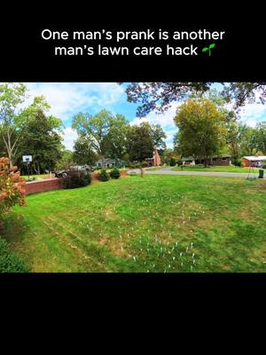 If your lawn does get forked, make sure to have a bag of grass seed handy🍴