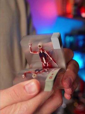 What do you think of these Body playing cards? #body #asmr #cardistry #thedudewithcards #foryoupage 