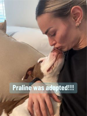 This is your sign to take a dog out of the shelter for a day, a night, a weekend, whatever you can do.  Praline was adopted by an amazing person I met during our overnight stay and I’m so excited for the both of them!!!💙💙💙#adoptdontshop #rescuedog #shelterdog #pitbull 