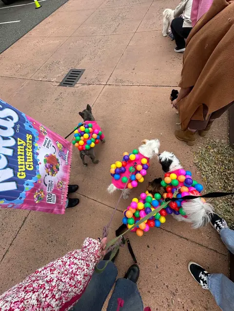 The sweetest costumes around 🍬