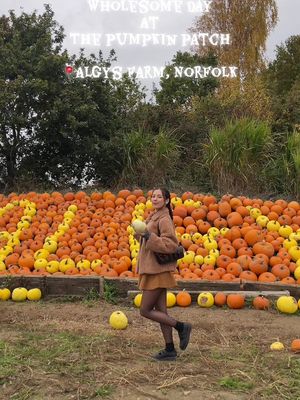 We go every year to @Algys Farm Shop to pick our pumpkins 🎃🍂🍁 Thrilled to see they have a brand new farm shop and cafe this year! #thingstodoinnorfolk #norfolk #pumpkinpatch #norfolkfarm #algysfarm 