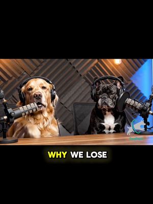 Goldie & Frenchie talk about the feeling when their humans come back 🥹