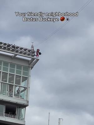 Now, that's an entrance👏 @Brutus Buckeye #OhioStateAthletics #GoBucks #OhioStateFootball #BrutusBuckeye 