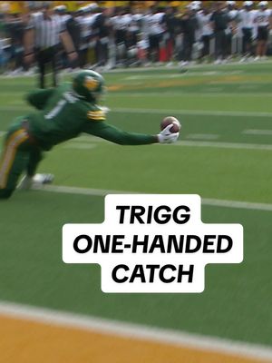 OH MY GOODNESS MICHAEL TRIGG 🤯 #cfb #football #sicem 