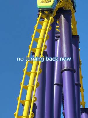 POV: You said Steel Eel wasn’t that scary… 🫣🎢 #SeaWorld #SteelEel #SeaWorldTexas