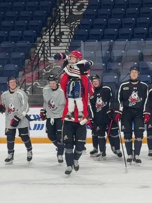 HUDDY GOT THAT ICEDOG IN HIM 😤  #NiagaraIceDogs #OHL #hockeytiktoks @FloHockey @Ontario Hockey League 