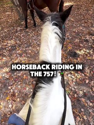 The 757 is so dope! You can really go to VB for a beach vibe and then Suffolk for the country. I can’t believe some people don’t take advantage or see the beauty in that!!  @kaysacres offers guided tours and horseback riding lessons. I did the group session (but ended up being the only one) or you can book a private. I think it’s perfect for beginners if you’ve never been on a horse and want to get the experience. Kids are welcome to ride as well!  Group lessons are about $110 per person for an hour but if you go with friends there’s a slight discount.  You can’t take your phone so if you want photos and videos you’re going to spend $30 extra. All pricing is available on their website when booking.  Overall I think it makes for a nice activity to try for the first time and a date ✨ Add it to your list of places to try in the 757 🍂 • • #757 #va#hamptonroadsva #virginia #stormchasers 