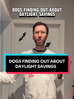 “Not entirely sure how you expect me to read a clock, but okay…” - literally every dog ever today #dogs #dog #daylightsavings #funny #relatable