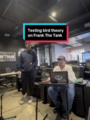 Testing bird theory on @njtank99 #funny #barstoolsports #birdtheory #frankthetank 
