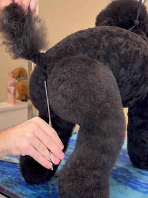 Ranking dog BBLs . #dogs #doggrooming