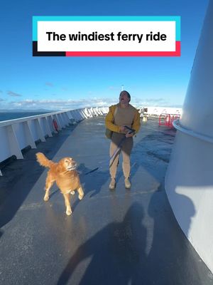 The knot I had to rip out of my hair after this 😅 but the kids thought it was so fun.  #ferry #roughseas #travelingfamily