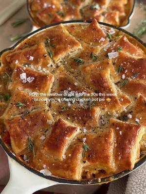 chicken pot pie for two! crispy buttery and flakey on top, creamy and flavorful on the inside 🤎 posting the recipe this week!