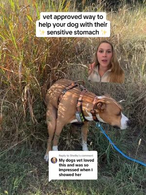 Replying to @Shelby Vet Recommended and Vet Nutritionist Formulated. The best way to relieve your dogs sensitive stomach is The Daily. 👏 #dogtok #doghealth #greenscreen #dognutrition 