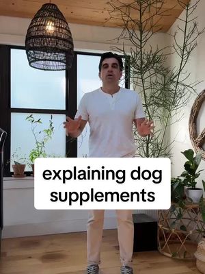 explaing dog supplements to you guys like your 5, really simplifying it for you ✨ #dogparent #dognutrition #doghealth 