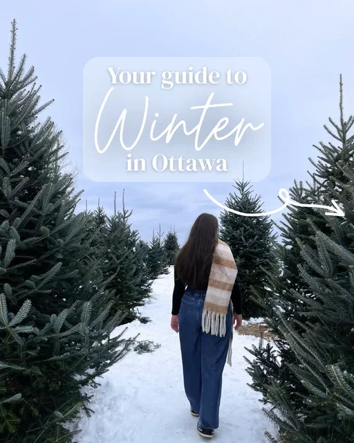 All the recommendations you need for skiing, skating, cozy cafes, Christmas and more! ⛄️  Save and share with a friend ⛸️🌨️  #ottawawinter #ottawa #thingstodoinottawa #wintertravel 