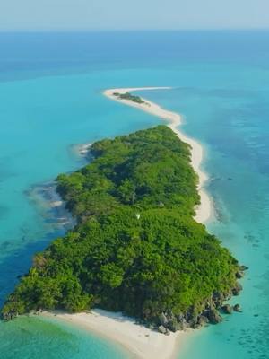 Palawan awaits you! 🌊🌿 Marvel at the serenity of Palawan—a true paradise on earth! Uncover Earth’s secrets in the Puerto Princesa Underground River, be mesmerized by the limestone cliffs of El Nido, and paddle through Coron’s turquoise lagoons. Palawan is almost complete—it just needs you! 🌊 Palawan is almost complete—it just needs you! 🧳👒 #LoveThePhilippines #DOTPhilippines #BagongPilipinas