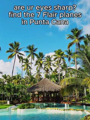 yes there are 7 planes in this punta cana pic fr #travel #flairairlines #puntacana #dominicanrepublic #traveltiktok 