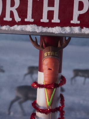 Kevin’s got himself into a right stew. Will it still be a marry Christmas? Stay tuned to find out 👀