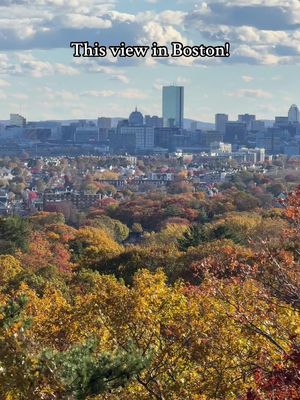 Where to see it! ⬇️ 📍 Location: You can find “Boojum Rock” with great views of Boston in the Middlesex Fells Reservation, a large park in Massachusetts. 🚗  Parking: Fellsway East parking lot in Melrose  🥾 Trail: you can take multiple hiking trails to find it, we took the Rock Circuit Trail.  🧭 The Fells has over 100 miles of trails!! I would recommend using @AllTrails so you don’t get lost, it’s a free app with great GPS/trail guidance 