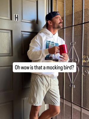 Stupid mockingbird #dadjokes