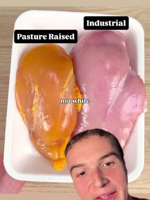 Real Chicken is Yellow not White