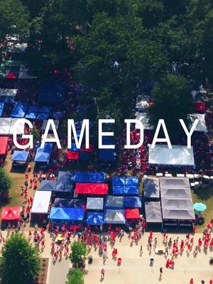 Nothing beats fall Saturdays in The Grove and in The Vaught 🫶 #cfb #hottytoddy #olemiss #olemissfootball #secfootball 