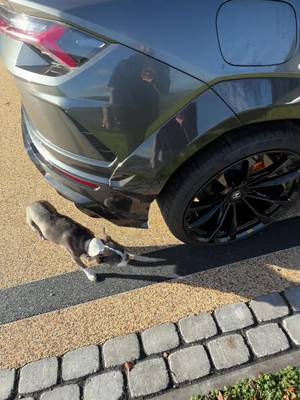Kevin not impressed by the Urus even with exhaust valves 🤷‍♂️