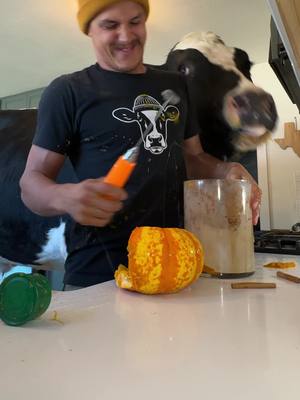 Trying to make a pumpkin spice latte with Bruce! #cow #brucethecow #farm #animals