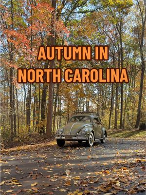 The most beautiful part of the year for a classic car ride 🍂  In dia perfecto para manejar un vochito 🤌🏽 #aircooled #patina #classicvw #vwbeetle #vwlovers 