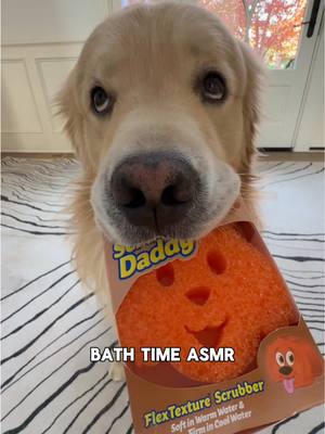 our weekly 1 on 1 date this week was to the salon for a nice bath with @Scrub Daddy 🙈 don’t think this is what Drake had in mind though….. he thought we were going to the rink 😂 #goldenretriever #scrubdaddy #asmrsounds #cleaningtiktok #cleaninghack 