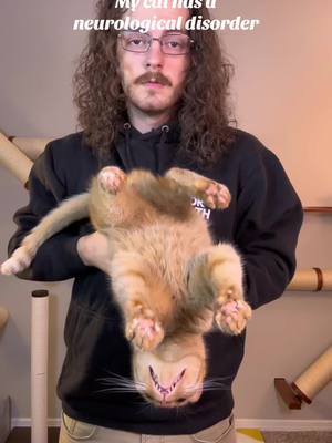 My cat has a neurological disorder #cat #catsoftiktok #catlovers #viralcats #funnycat #orangecatbehavior #orangecat 