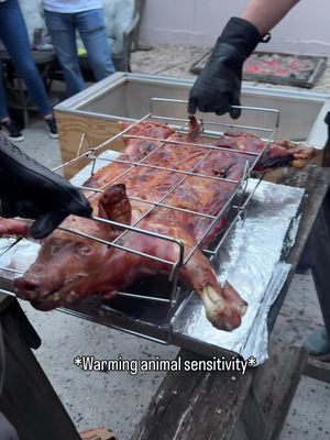 How to roast a whole pig 🐖!! My family has been doing it for 20 years and this is our tried and true method. Personalization happens at the marinade and cook time but one constant is our @LaCajaChinaGrill  