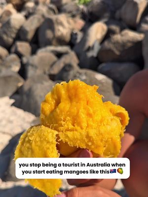 how Australian’s eat mangoes 🥭🇦🇺