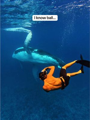 God forbid a girl wants to do it all.. 🤷🏼‍♀️ #travel #adventure #iknowball #activities #hobbies 