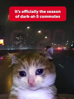 Realizing my drive home now looks like this every night 😭 // Réaliser que mon trajet de retour à la maison ressemble maintenant à ça chaque soir 😭 #daylightsavings #canadiantiktok #canada 