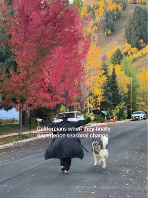 Seasonal depression has left the CHAT. #aspen