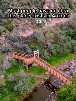 Discover the desert in bloom 🌵✨Boyce Thompson Arboretum has been protecting desert life for over 100 years, showcasing Arizona’s incredible plant life and mountain views that’ll take your breath away. 🌎 Check out the Glass in Flight exhibit, featuring vibrant, larger-than-life glass and steel sculptures of butterflies, dragonflies, and bees that glow in the sun and celebrate the beauty of pollinators. 🦋🐝 Tag a friend you’d bring! 🌸 📍Boyce Thompson Arboretum, Superior AZ #BoyceThompsonArboretum #GlassInFlight #ExploreAZ #ArizonaBotanicalGarden #WelcomeToArizona 